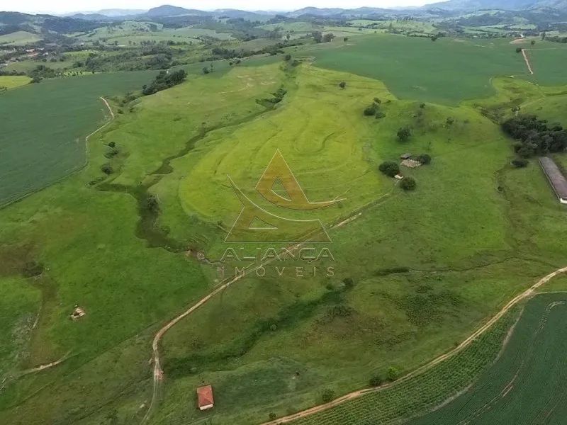 Fazenda - São José do Rio Pardo - Zona Rural - Foto 3