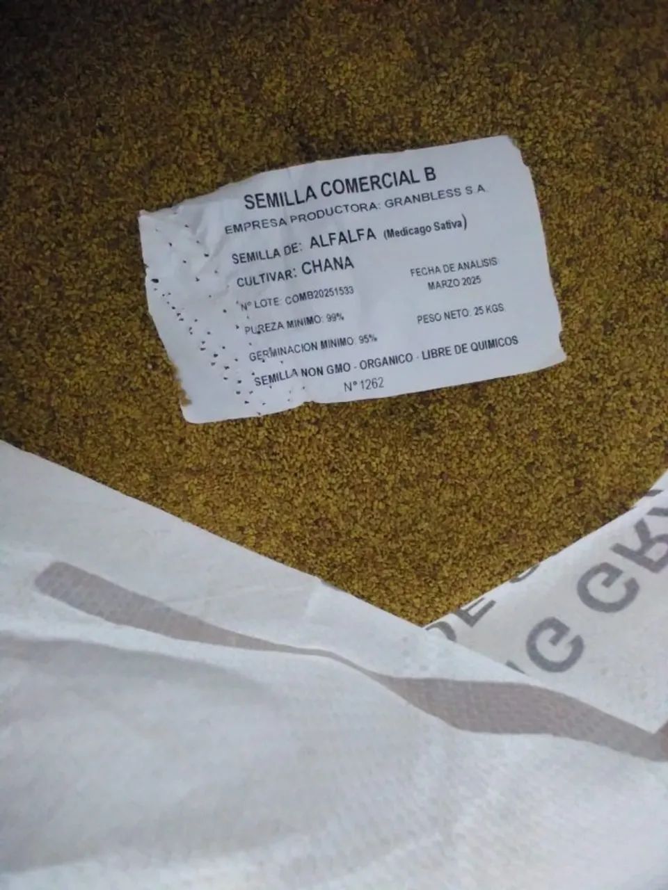 Semente de Alfafa para Brotos