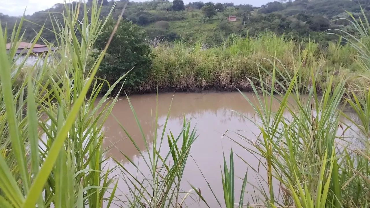 Sitio em Alagoa Nova  - Foto 2