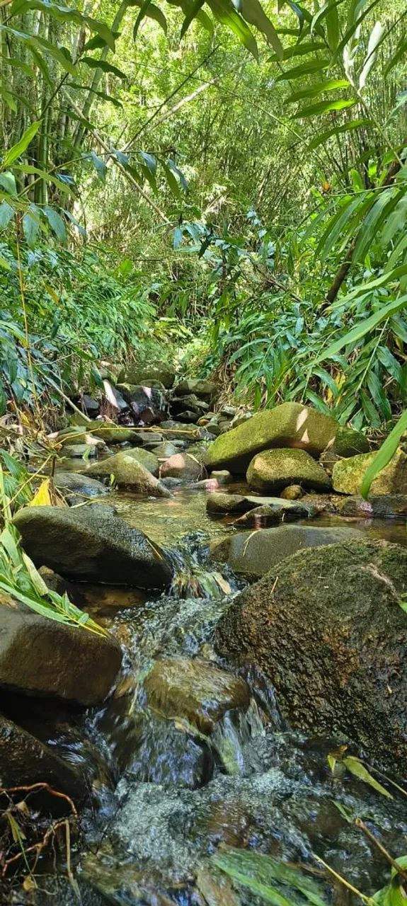 ?Excelente Área rural de 9 ha? - Foto 5