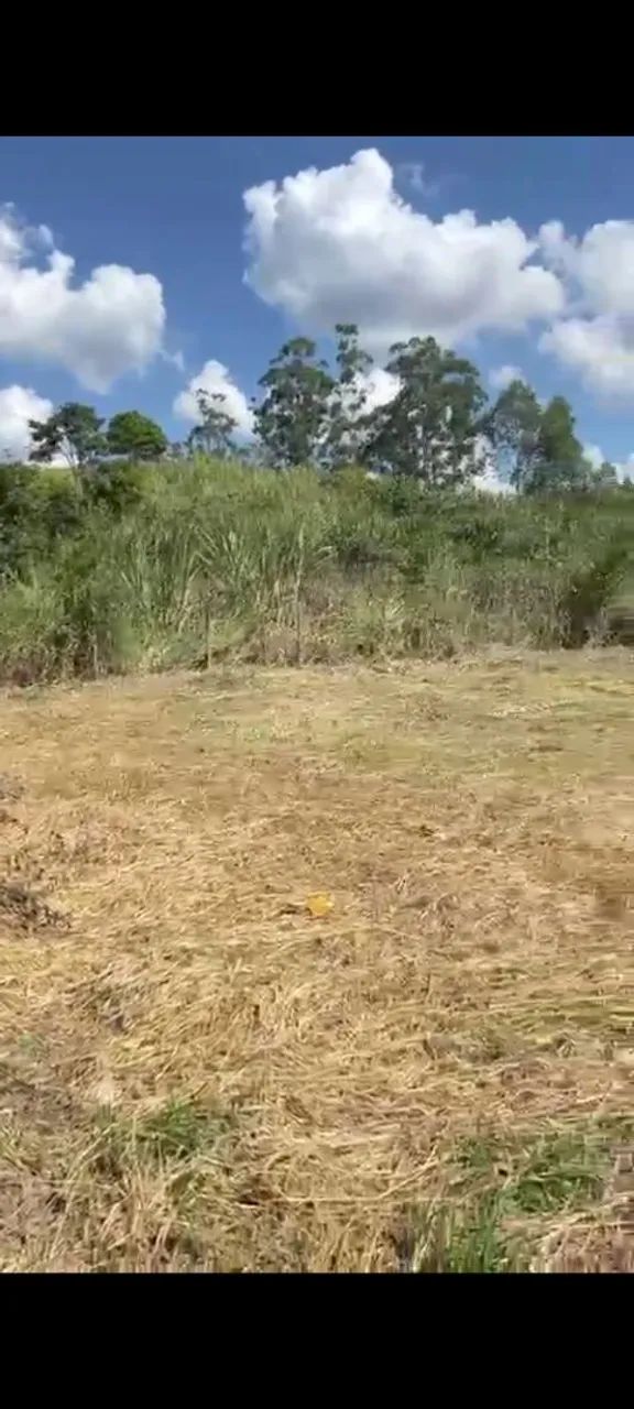 Chácara terra preta - Foto 5