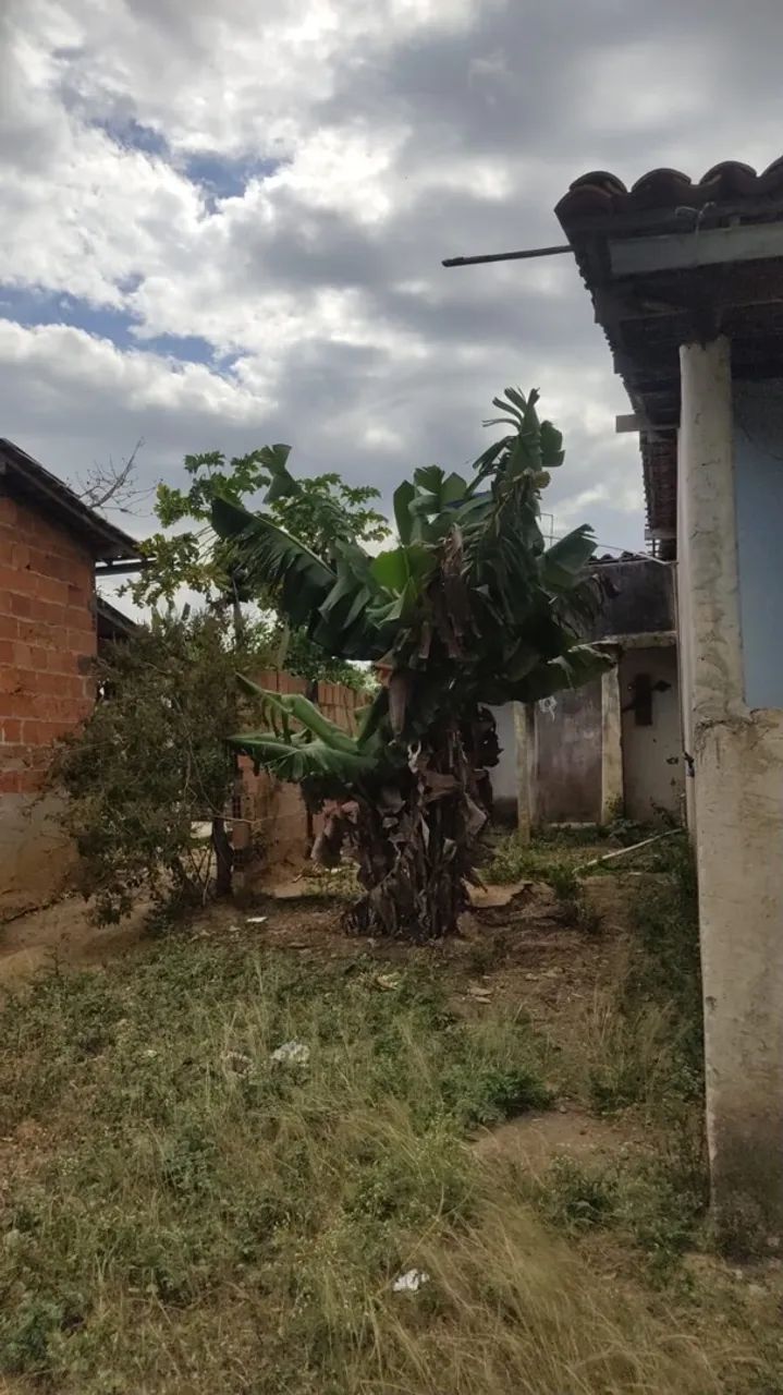 VENDO CASA COM TERRENO EM PINHÃO/SE - Foto 4