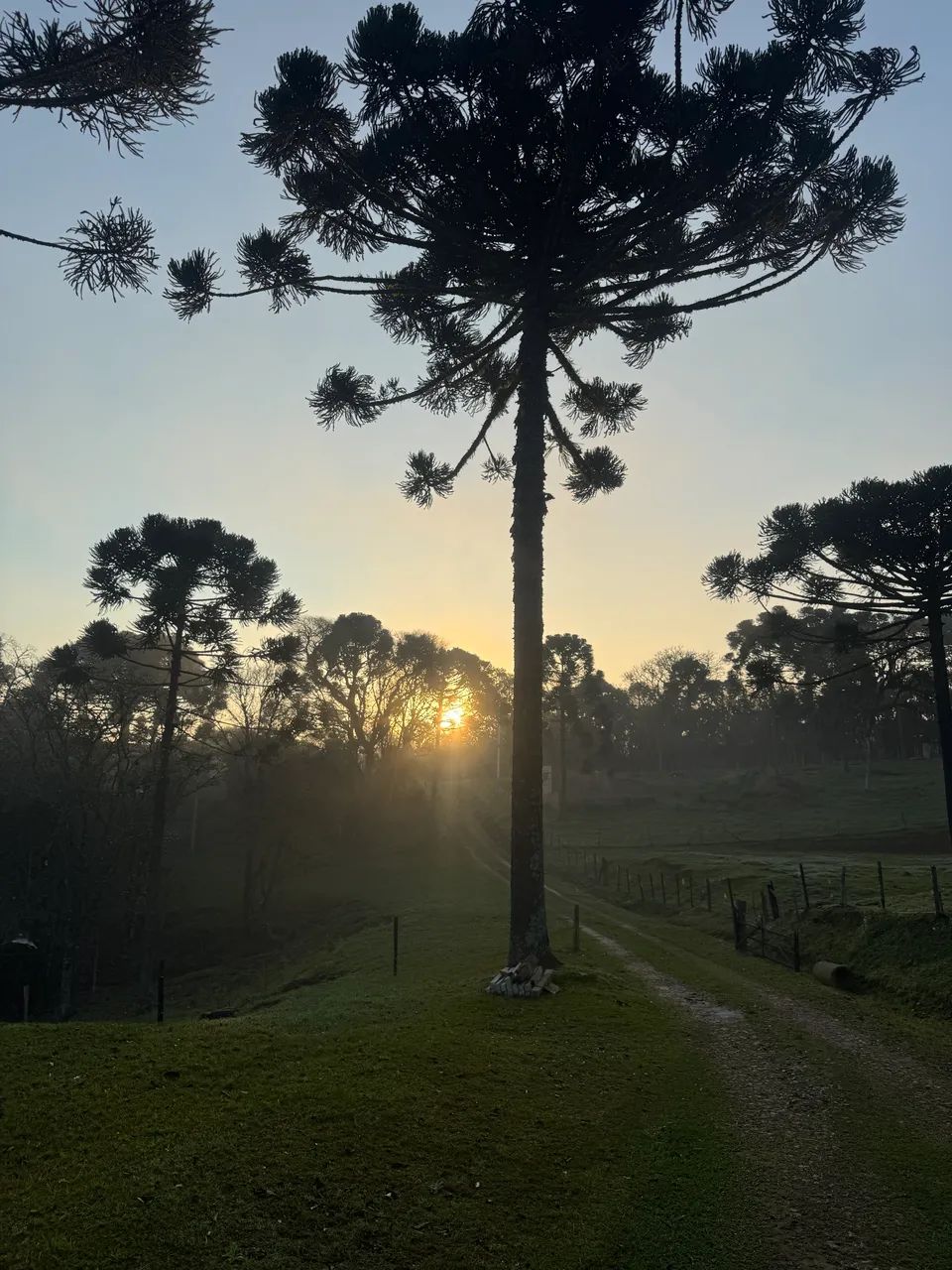 Terreno na Serra - Foto 2