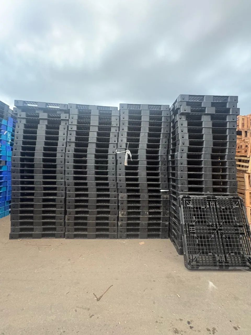Paletes de plastico
