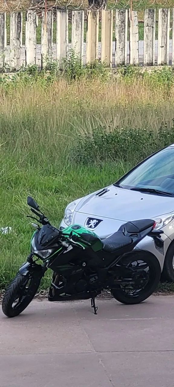 Kawasaki 300 2016 - 1501680171 | OLX