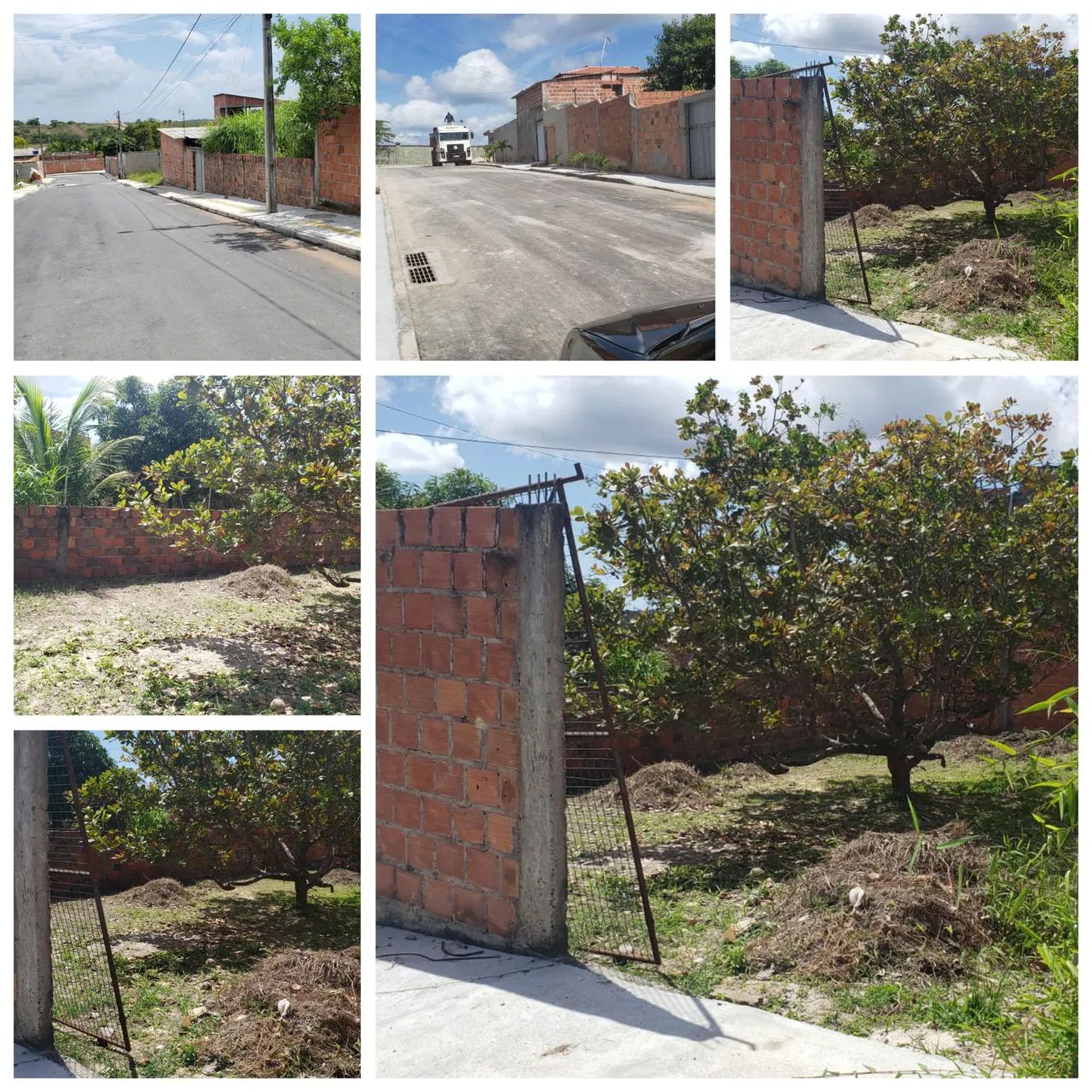 Terreno Jardim limoeiro  - Foto 5