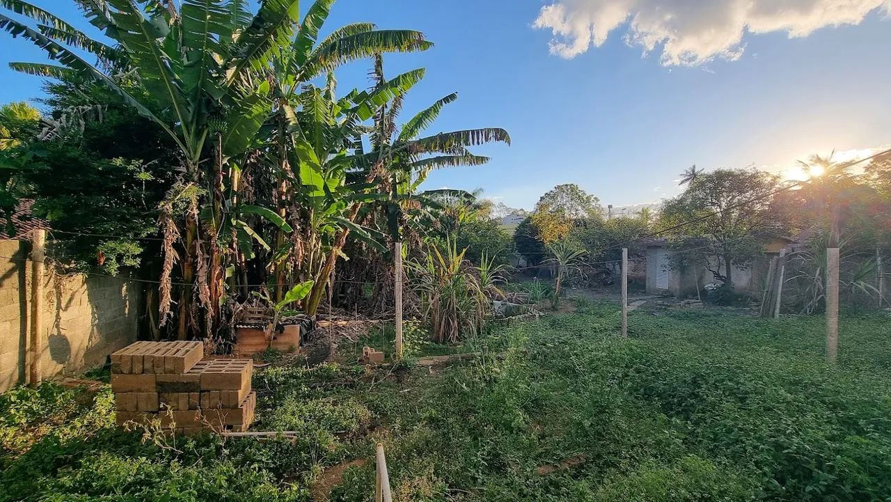 Lote / Terreno - Nova California - Foto 3