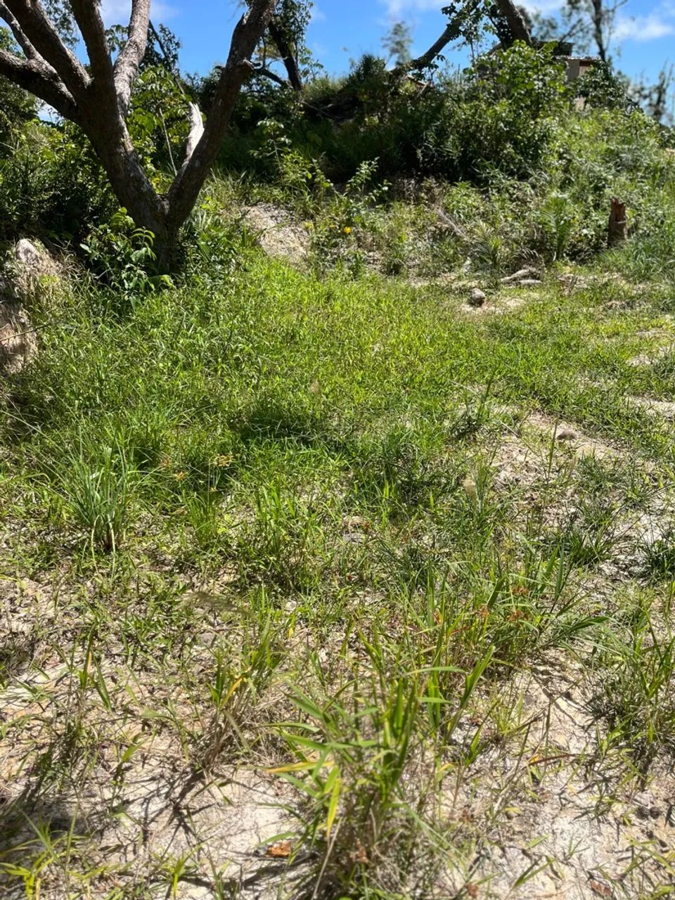 Terreno em Itapuama  - Foto 3