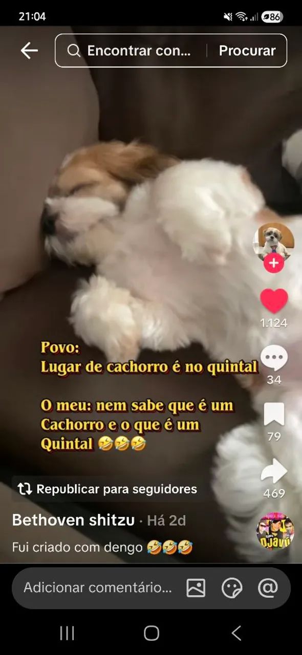 Maca de estética