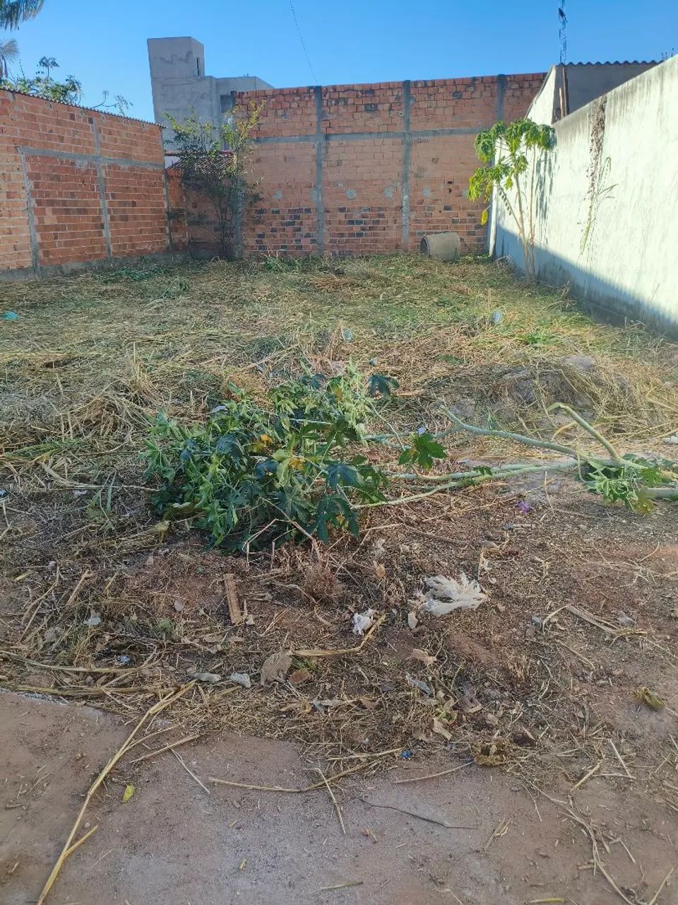 Lote - Foto 5