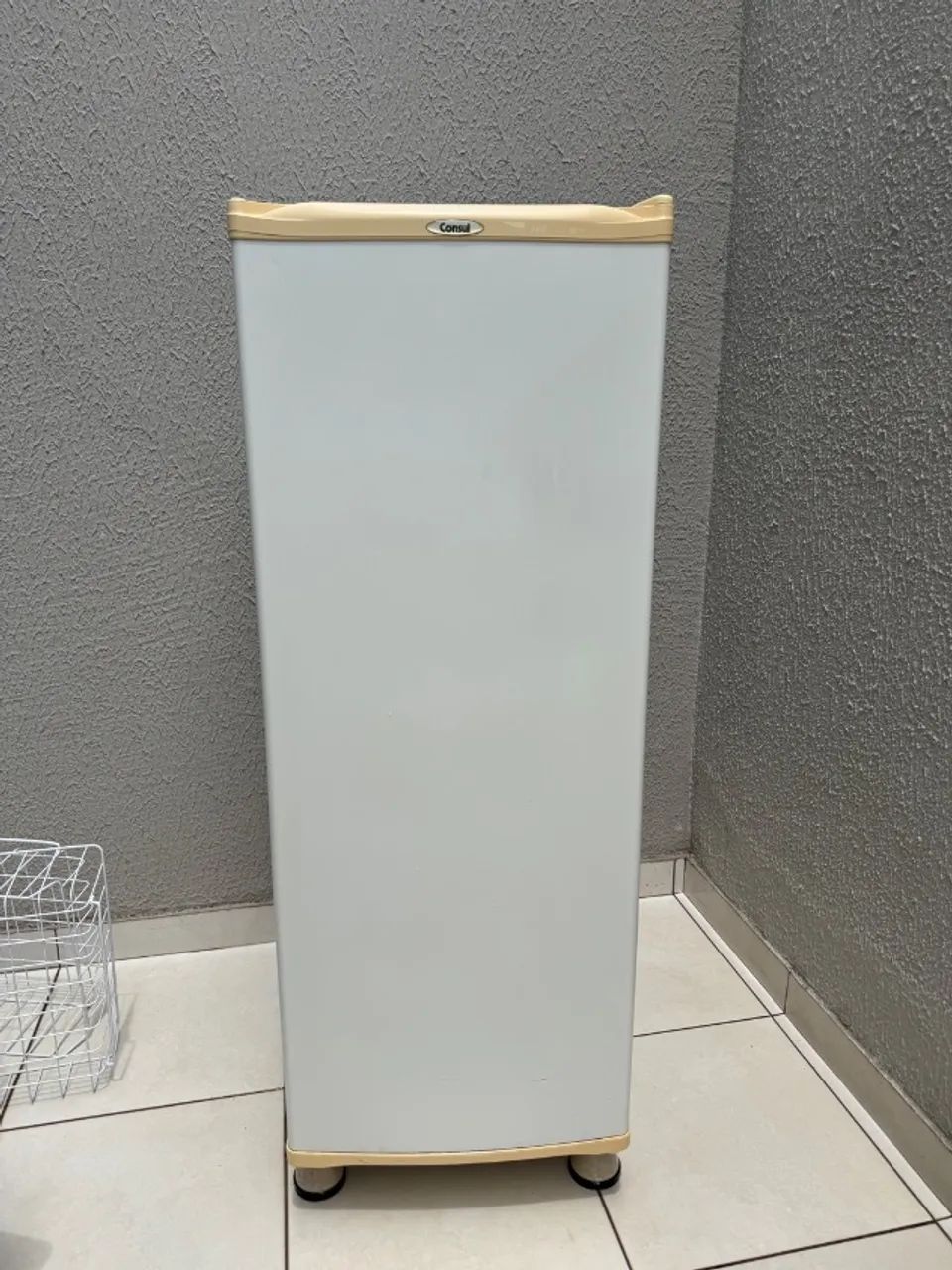 Freezer Vertical 