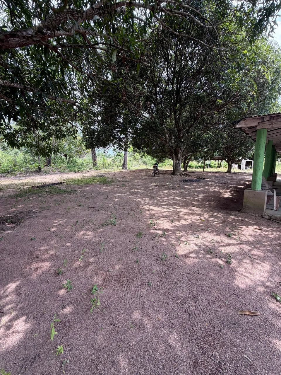 Chacara no Distriro 10 hequitareas titulada - Foto 4