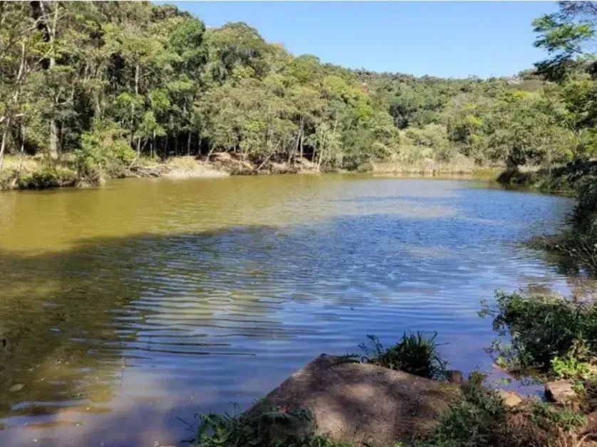 Fazenda com plantação de eucaliptos em Brasopolis MG - Foto 2