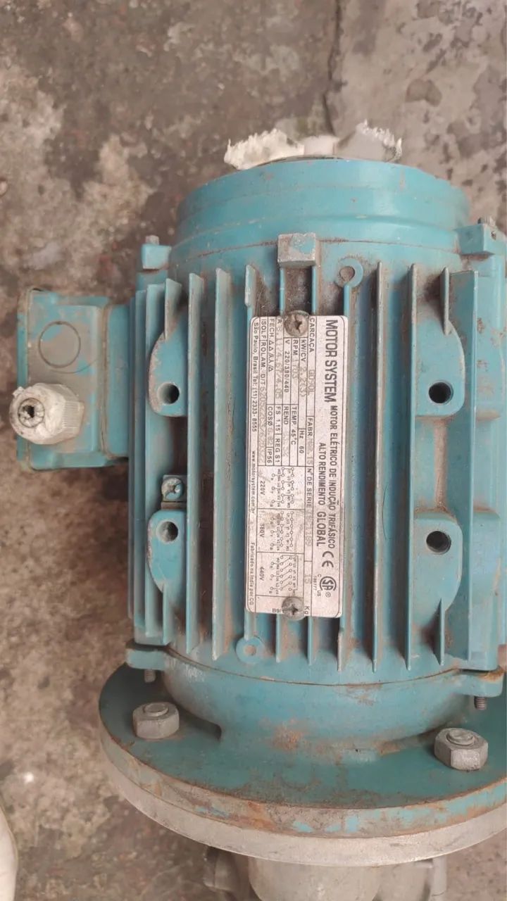 Bomba Helicoidal Revisada - Foto 2