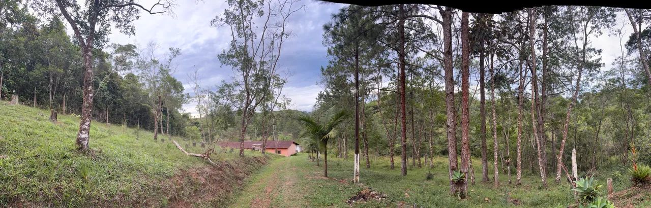 Sítio a venda 350.000 porteira fechada - Foto 11