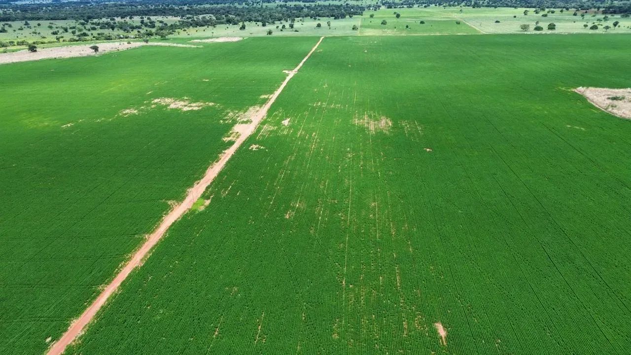Fazenda a venda, em Nova Crixas - Goias! - Foto 4