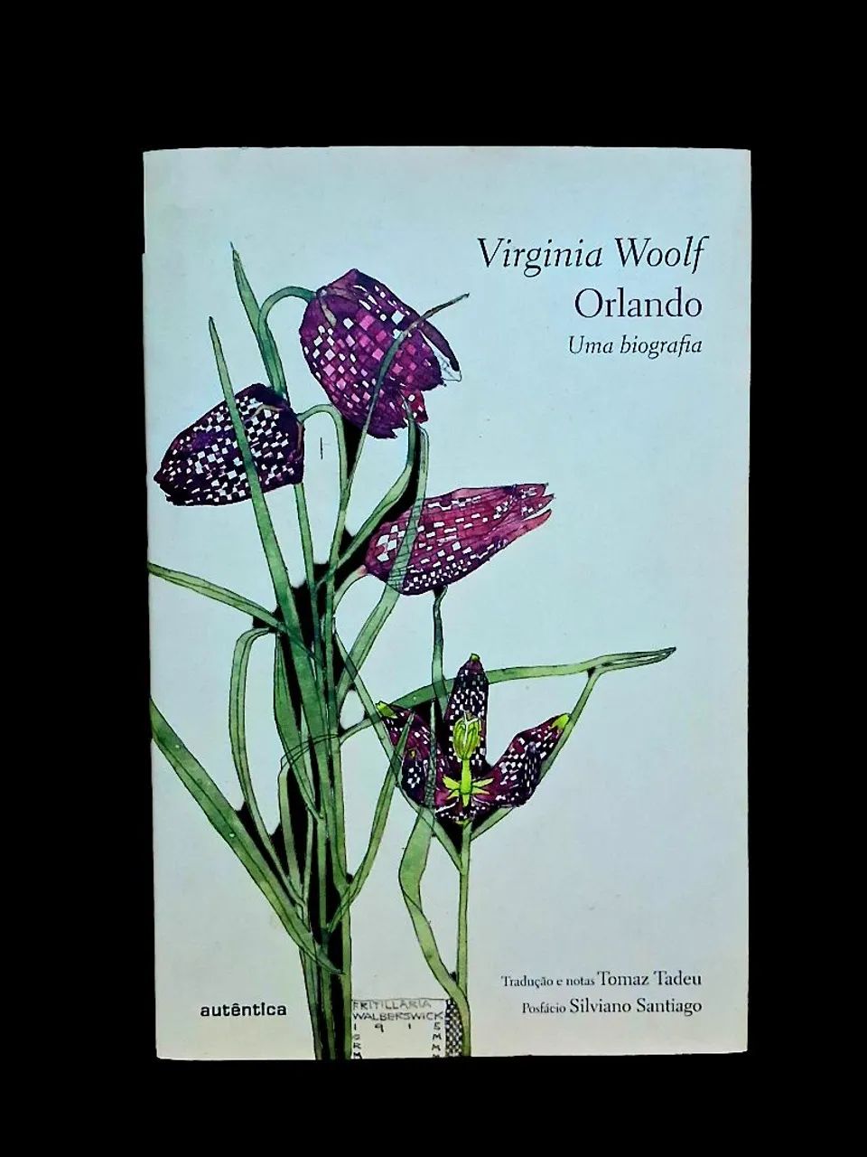 Orlando - Virginia Woolf