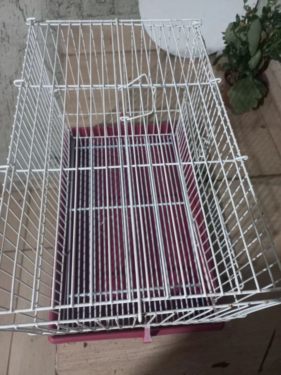 Gaiola  - Foto 3