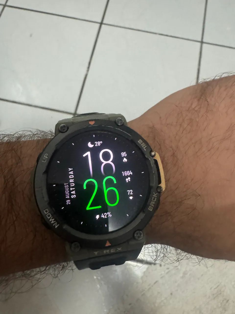 Amazfit trex 2 