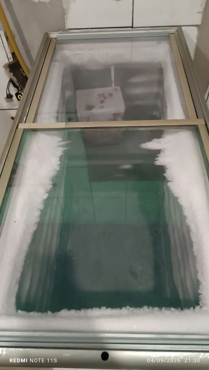 Freezer horizontal