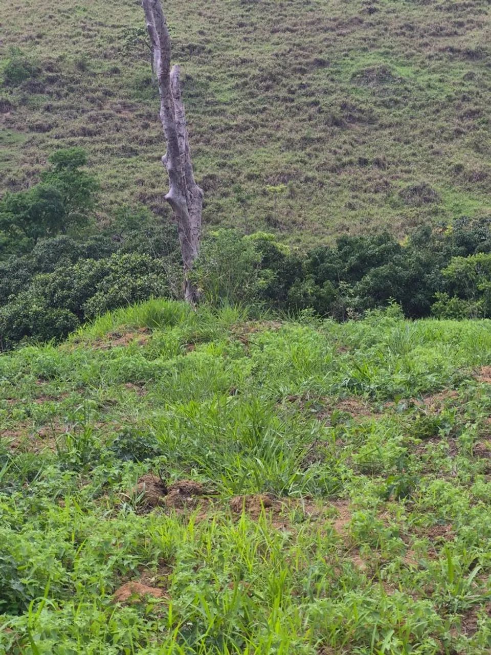 Terreno - Foto 3