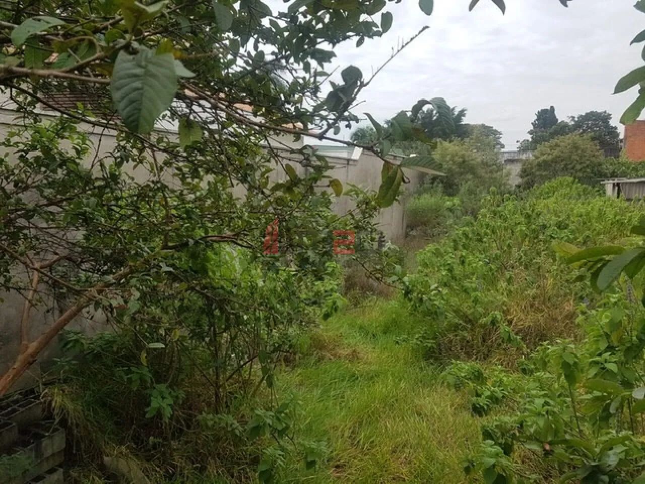 Terreno Residencial - Foto 3