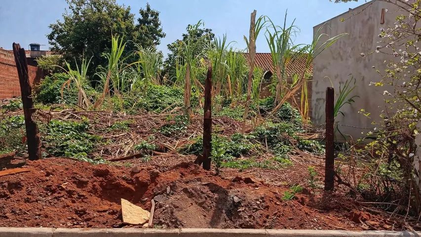 Terreno Campo Grande Ms - Foto 3