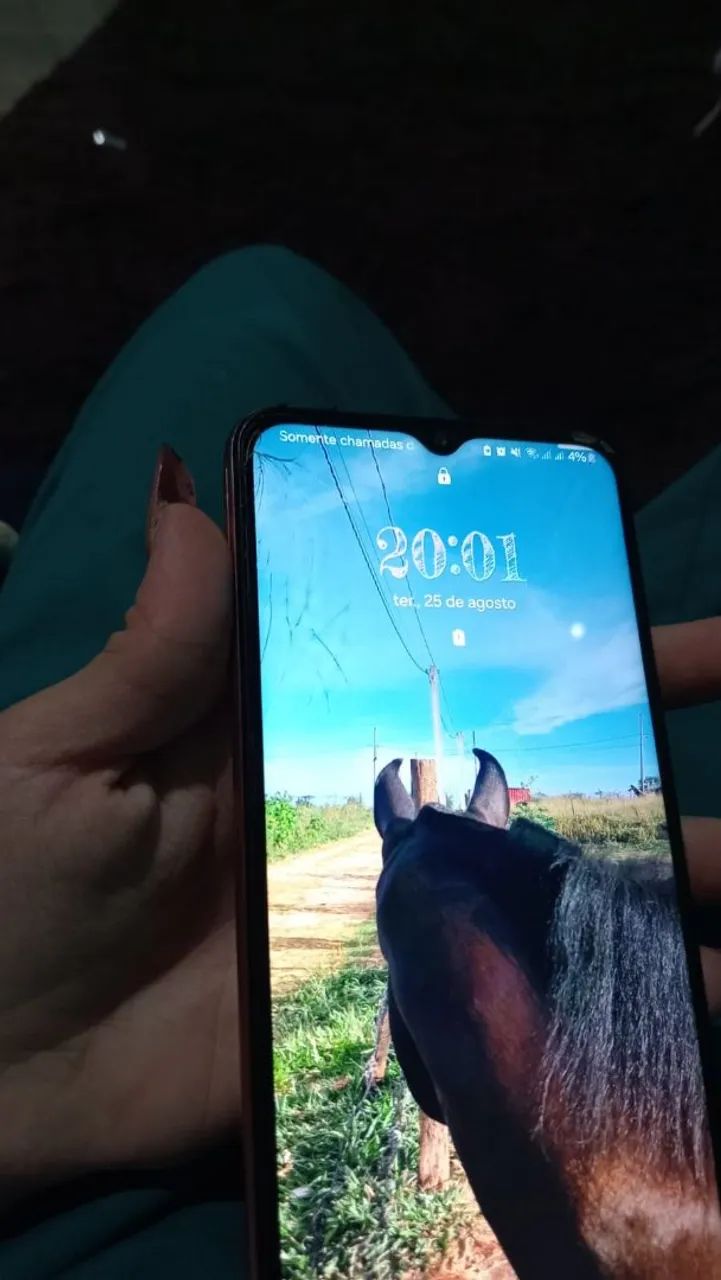 celular galaxy M13
