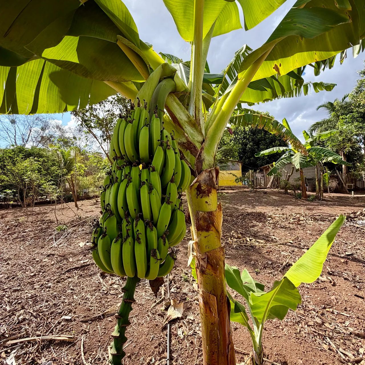 Chácara 3.200m2 a 30 km de Goiânia-GO - Foto 5