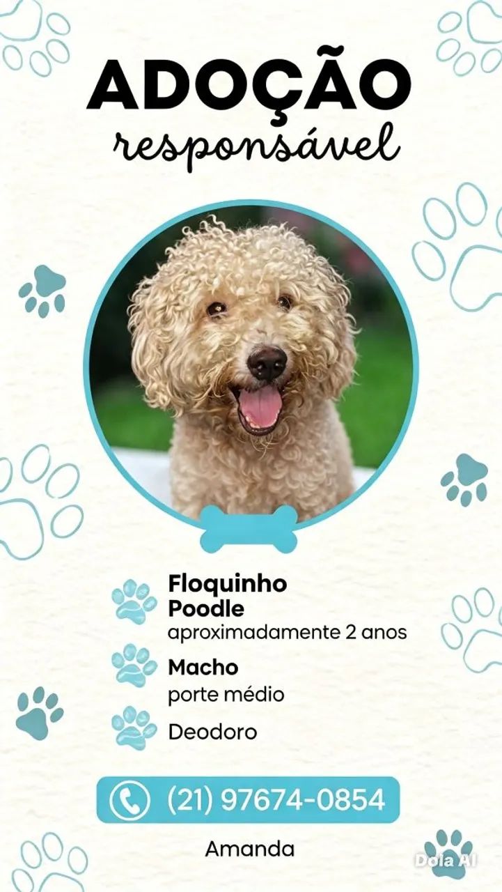Adoção Responsável  - Foto 2