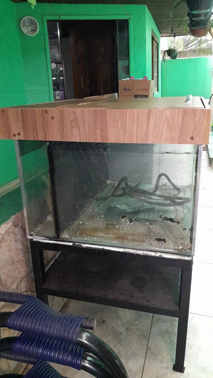 Aquário - Foto 2