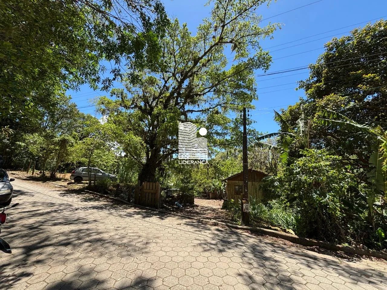 Terreno, Pantanal - Foto 2