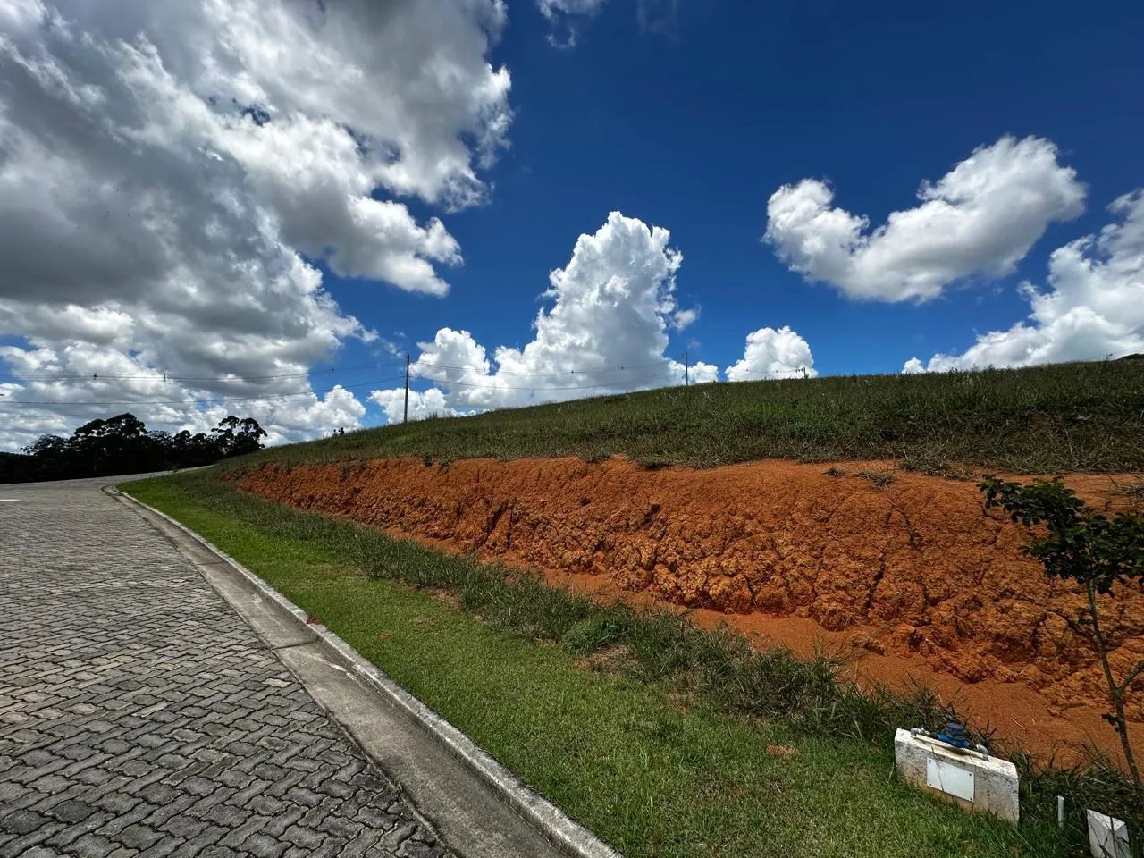 Lote / Terreno - São Pedro - Foto 4