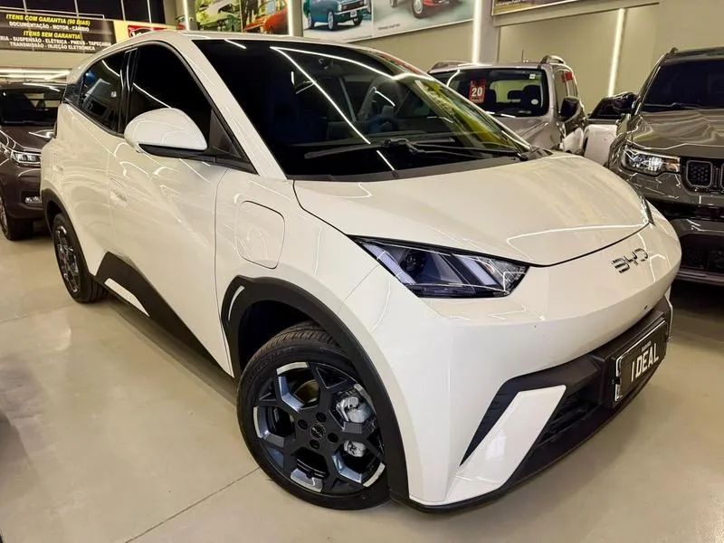 BYD Dolphin Mini (Elétrico) 2027 - Foto 4