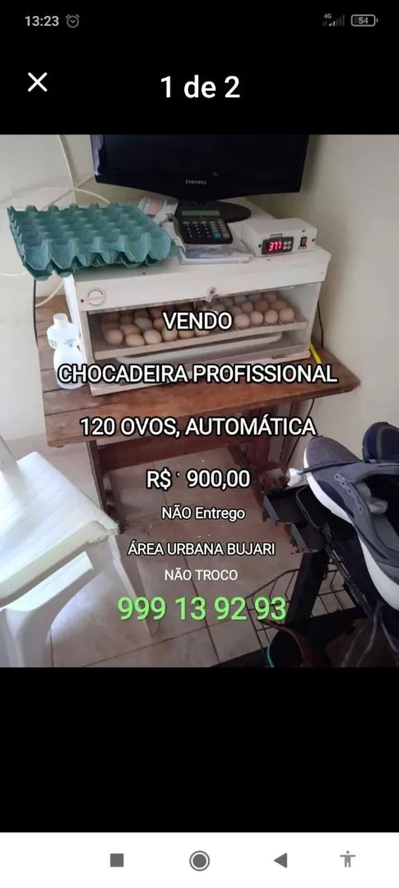 VD chocadeira 120 ovos  - Foto 2