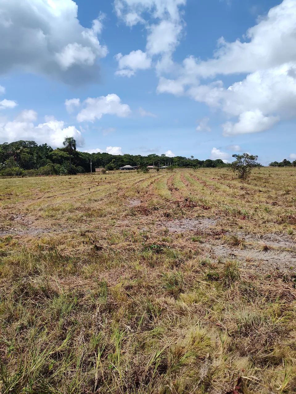 Terreno em tepequem  - Foto 5