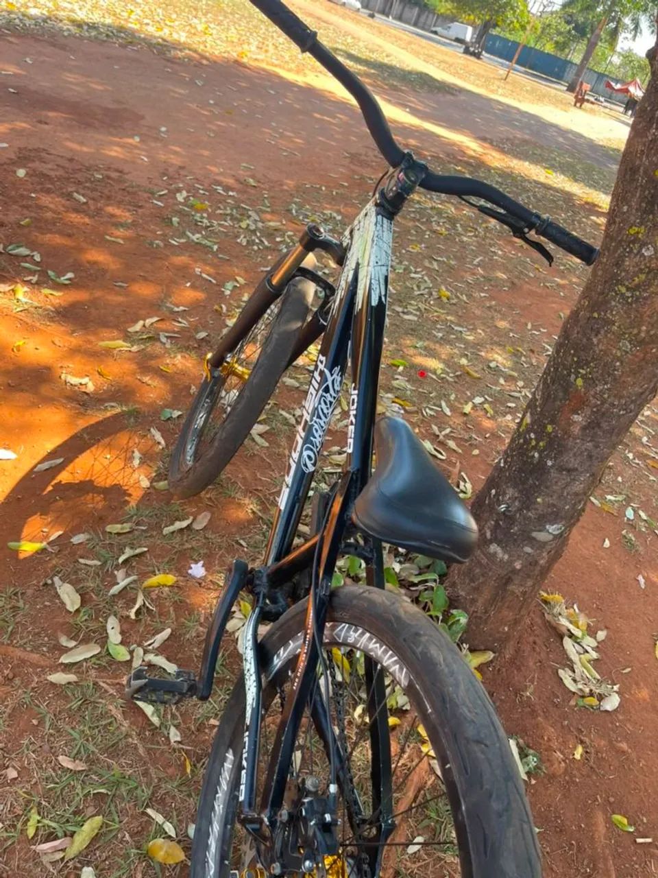 Bicicleta 