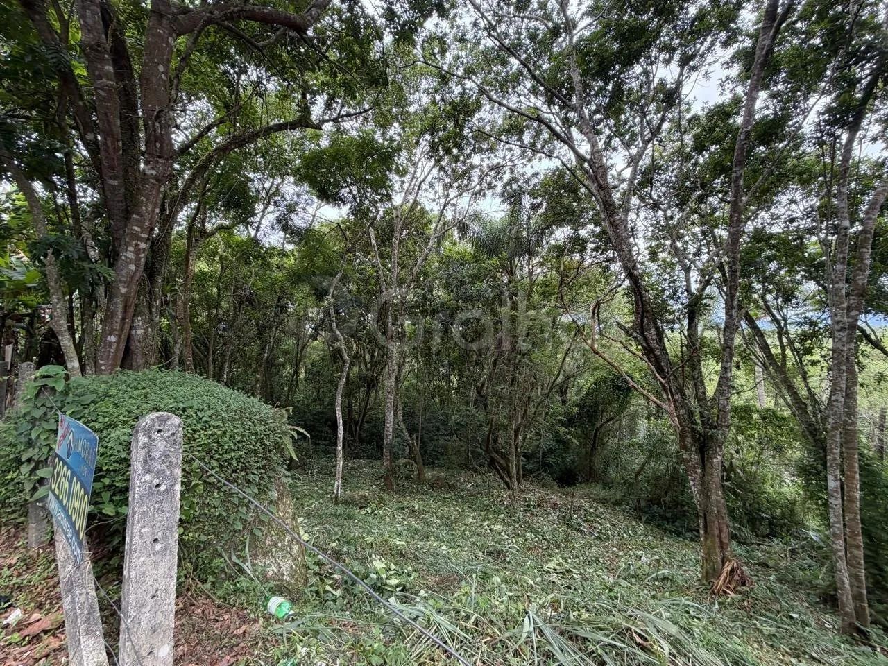 Terreno a venda 4800m² Canto Lamim proximo a Jurere. - Foto 5