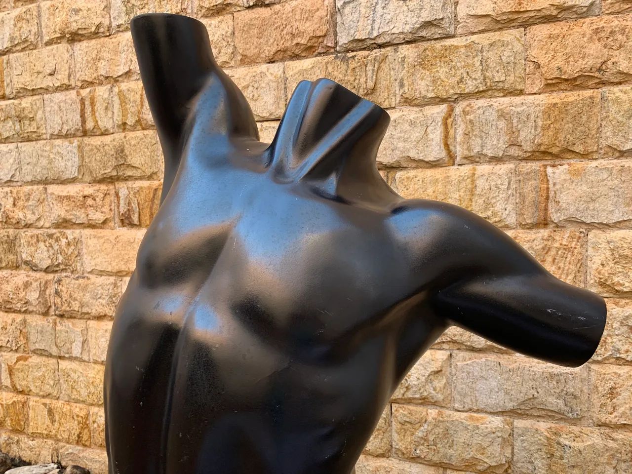 Manequim Masculino Torso - Foto 2