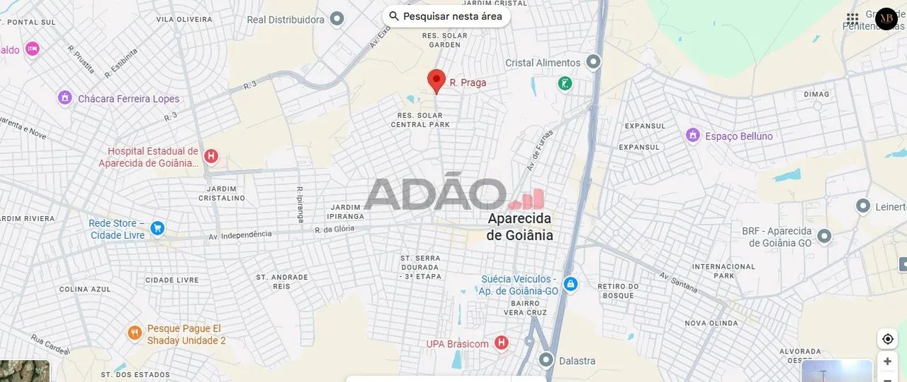 Lote de Rua - Foto 7