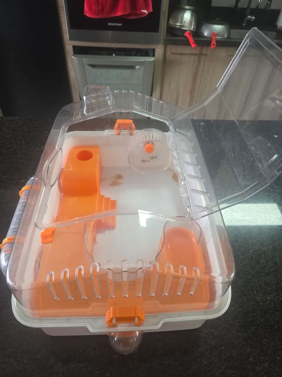 Viveiro para Hamster  - Foto 3