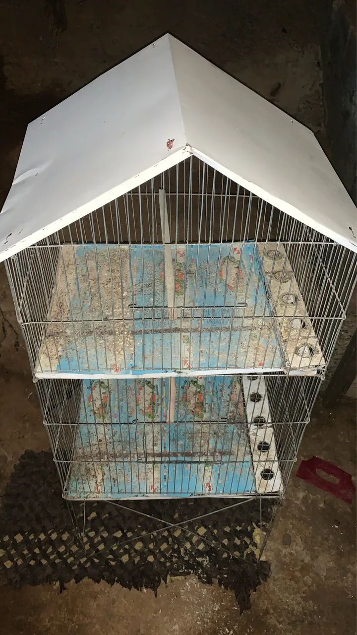 Viveiro para Aves