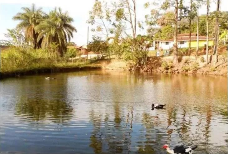 Lote|Condomínio Veredas das Gerais|800m²|Nova Lima - Foto 2
