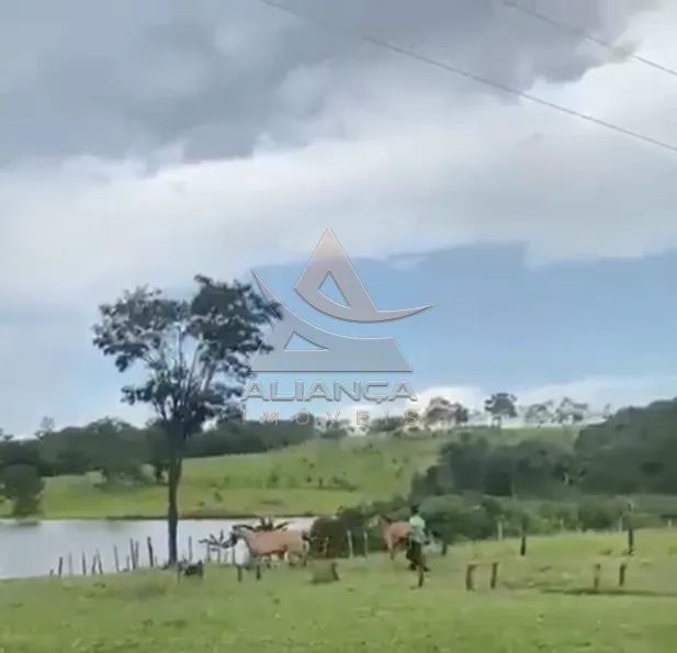 Fazenda - Patos de Minas - Zona Rural