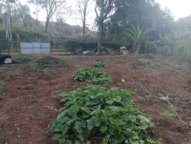 terreno para sítio / chácara com 6.590m² - Foto 2
