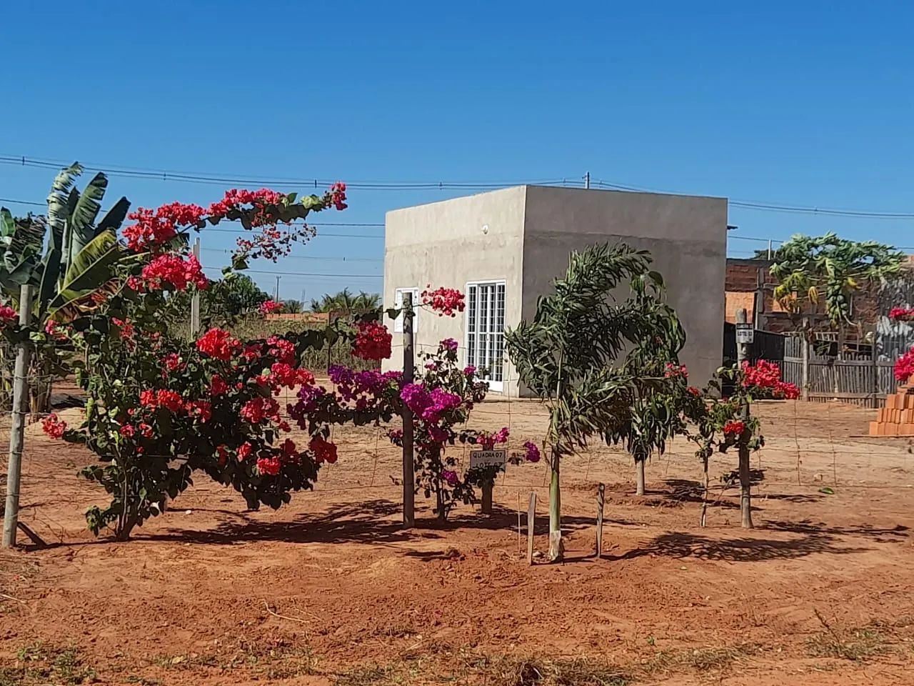 Foto - Promissão - 