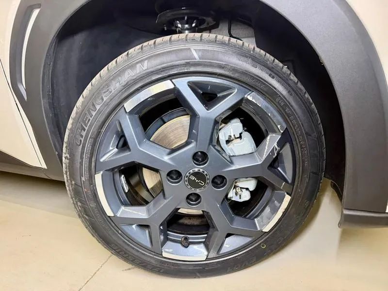 BYD Dolphin Mini (Elétrico) 2027 - Foto 5