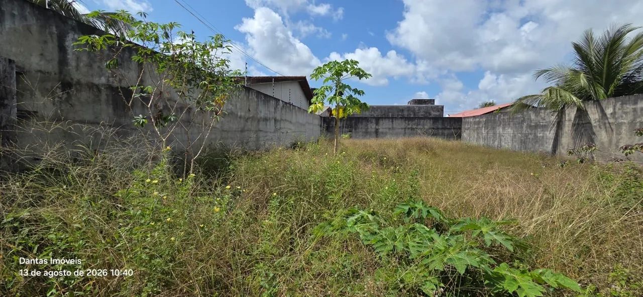 LOTE NO BAIRRO GOIABAL  - Foto 4