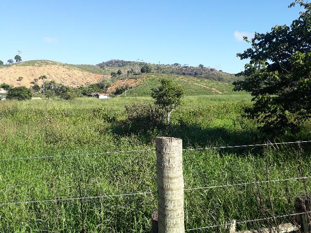 Fazenda com 174 hectares barra de são francisco - Foto 10