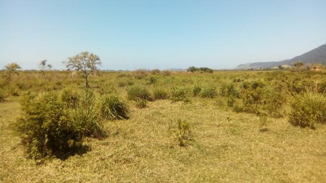 Excelentes lotes financiados em Jaconé, Saquarema - Foto 15